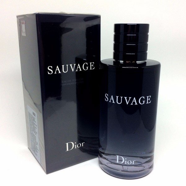 Sauvage Masculino de Christian Dior Eau de Toilette - 100ml